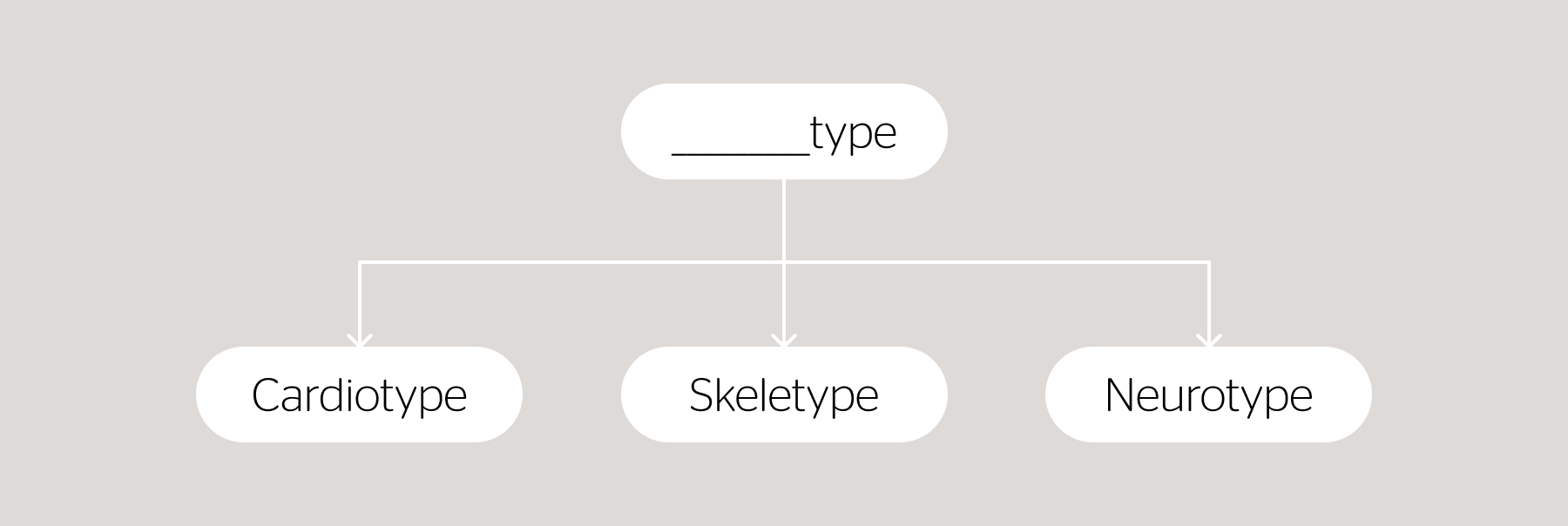 A diagram of a naming structure. At the top, a bubble with a blank, underlined space followed by "type". From this bubble emerge three arrows, pointing to three separate bubbles in a second row, that read "Cardiotype", "Skeletype", and "Neurotype".