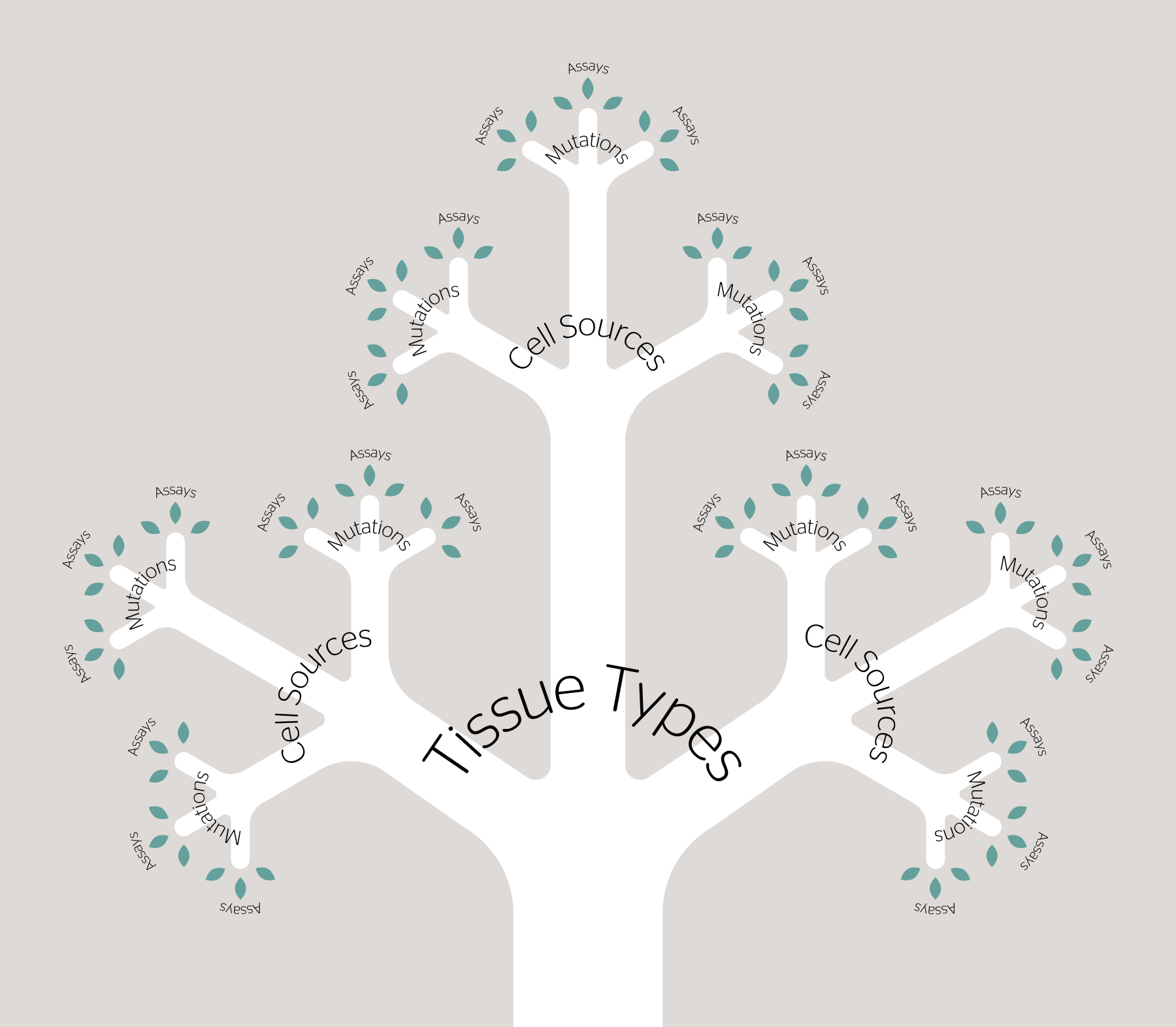 A simple illustrated tree that splits like a fractal. Where the trunk splits into three branches it says "Tissue Types." Each of those branches splits into three more, labeled "Cell Sources". Three branches split from there with the text "Mutations". At the end of each of the "Mutation" branches are three green leaves, each labeled with "Assay".