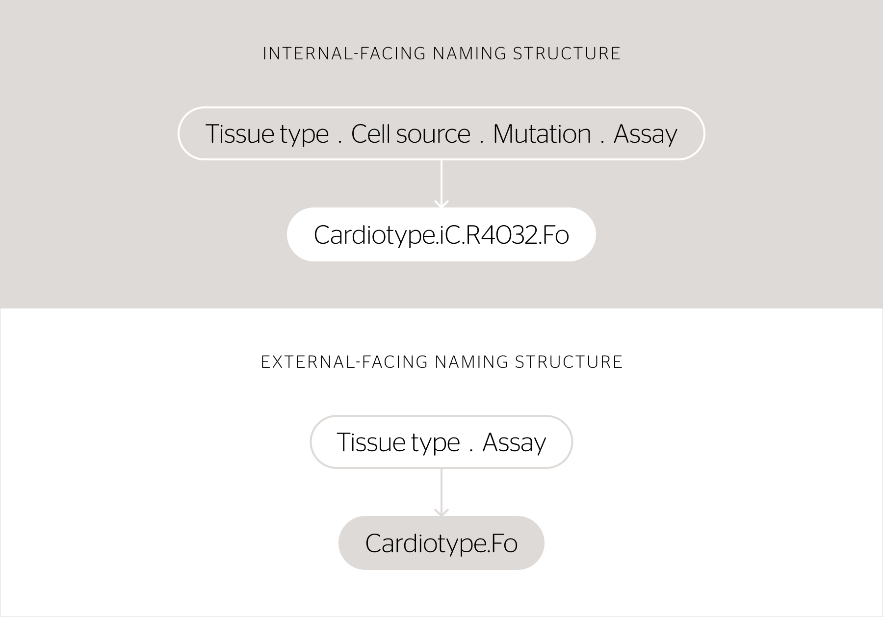 The two TARA product naming structures. The first is the internal-facing structure, which follows the format of "Tissue type . Cell source . Mutation . Assay". This creates a product name like "Cardiotype.iC.R4032.Fo". The second, external-facing structure is "Tissue type . Assay", which creates a name like "Cardiotype.Fo".